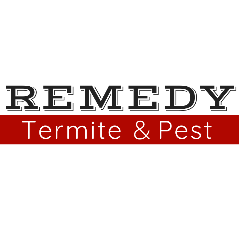 Remedy Termite and Pest